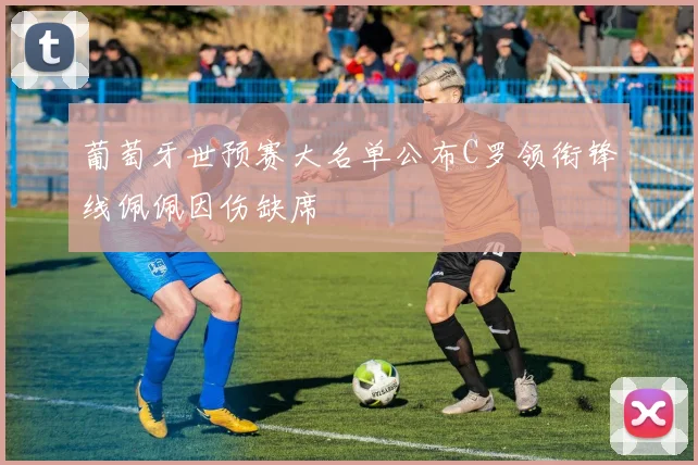 葡萄牙世预赛大名单公布C罗领衔锋线佩佩因伤缺席