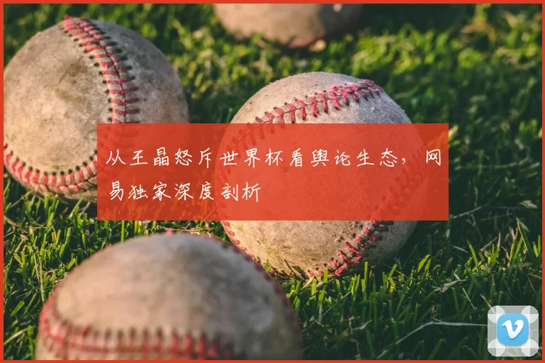 从王晶怒斥世界杯看舆论生态，网易独家深度剖析