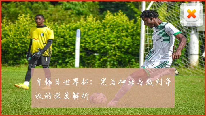 年韩日世界杯:黑马神话与裁判争议的深度解析