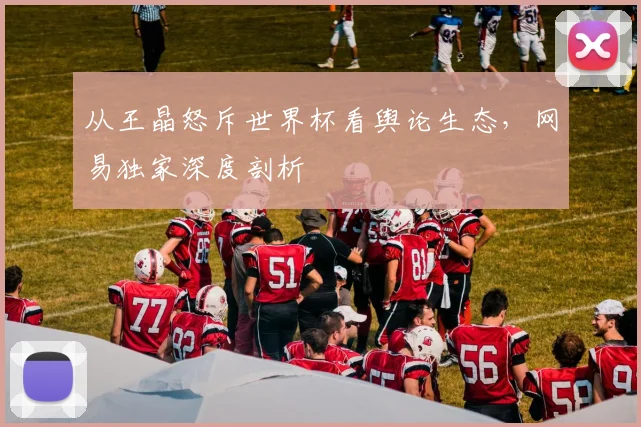 从王晶怒斥世界杯看舆论生态，网易独家深度剖析