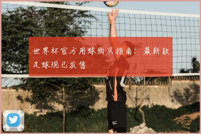 世界杯官方用球购买指南:最新款足球现已发售