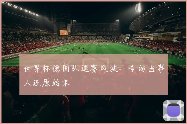 世界杯德国队退赛风波,专访当事人还原始末