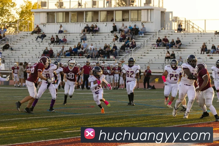 大阳城app注册官网平台生态图